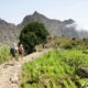 Accompagné d’un guide spécialisé, visite de la vallée de Paùl à travers les cultures de canne-à-sucre, de bananes et de papayes et interaction avec les locaux