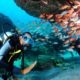 Centre Padi situé à Santa Maria, formation pour tout niveau, 3 bateaux, plusieurs sites: 2 épaves, grottes, ancré et barrière de corail